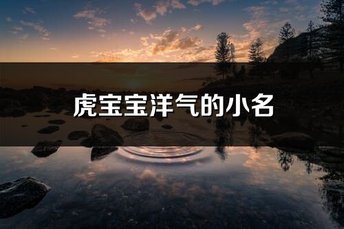 虎寶寶洋氣的小名