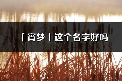 「宵夢」這個(gè)名字好嗎_宵夢名字寓意,含義