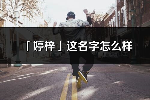 「婷梓」這名字怎么樣_婷梓的名字解釋