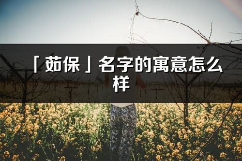 「茹保」名字的寓意怎么樣_茹保的出處