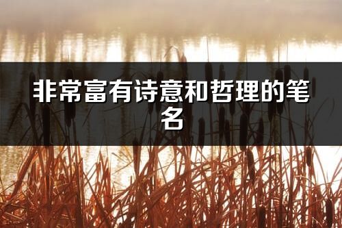 非常富有詩意和哲理的筆名