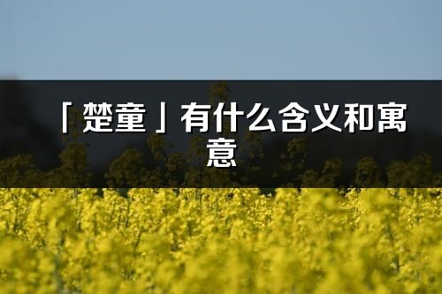 「楚童」有什么含義和寓意_楚童名字的出處與意思