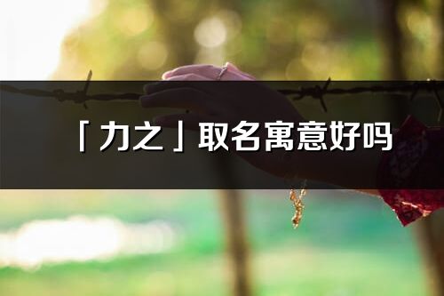 「力之」取名寓意好嗎_力之名字含義及五行