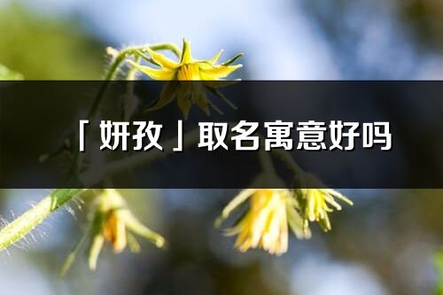 「妍孜」取名寓意好嗎_妍孜名字含義及五行