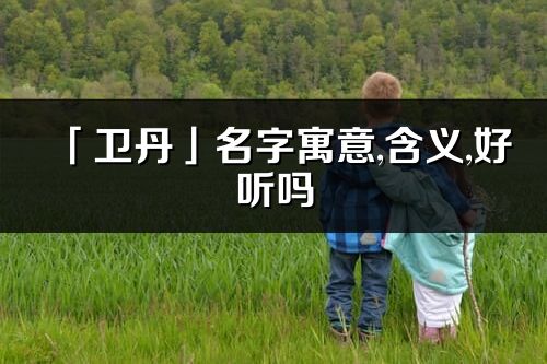 「衛丹」名字寓意,含義,好聽嗎_衛丹名字分析打分