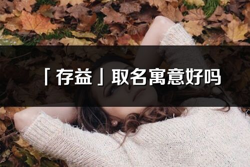 「存益」取名寓意好嗎_存益名字含義及五行