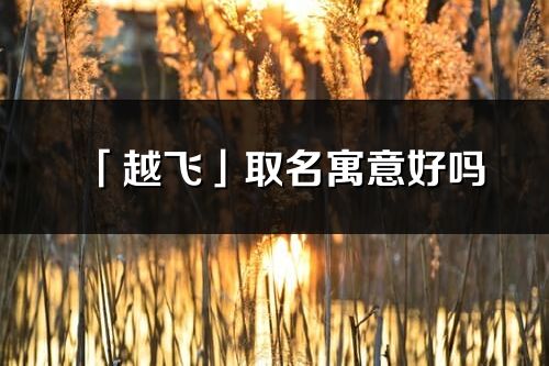 「越飛」取名寓意好嗎_越飛名字含義及五行