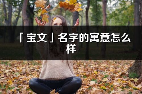 「寶文」名字的寓意怎么樣_寶文的出處
