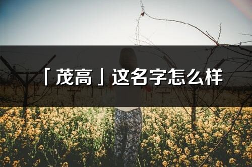 「茂高」這名字怎么樣_茂高的名字解釋