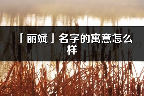 「麗斌」名字的寓意怎么樣_麗斌的出處