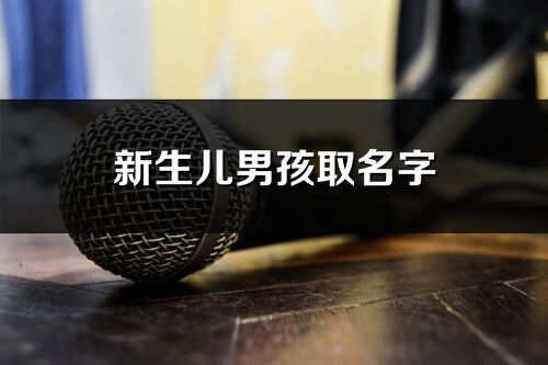 新生兒男孩取名字