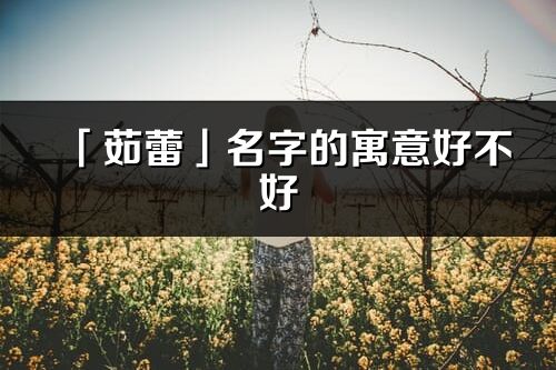 「茹蕾」名字的寓意好不好_茹蕾含義分析