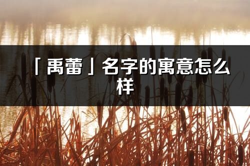 「禹蕾」名字的寓意怎么樣_禹蕾的出處