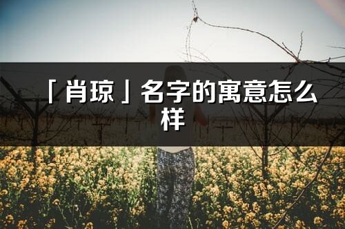 「肖瓊」名字的寓意怎么樣_肖瓊的出處
