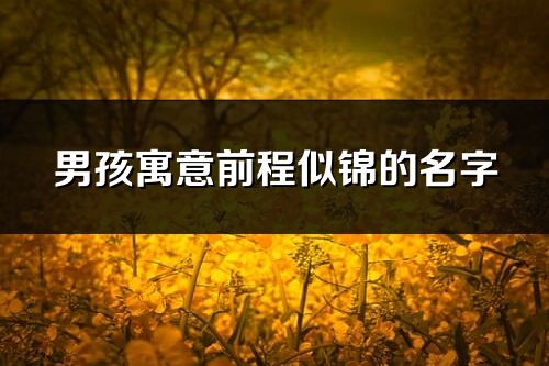 男孩寓意前程似錦的名字