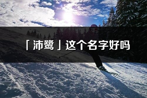 「沛鷺」這個名字好嗎_沛鷺名字寓意,含義