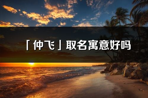 「仲飛」取名寓意好嗎_仲飛名字含義及寓意