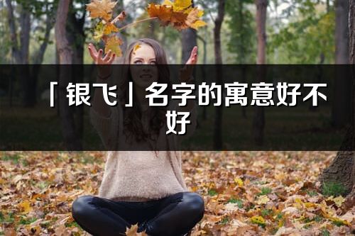 「銀飛」名字的寓意好不好_銀飛含義分析