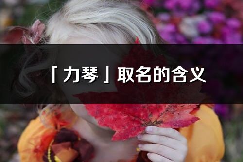 「力琴」取名的含義_力琴名字寓意解釋
