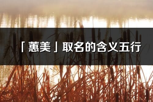 「蕙美」取名的含義五行_蕙美名字寓意解釋