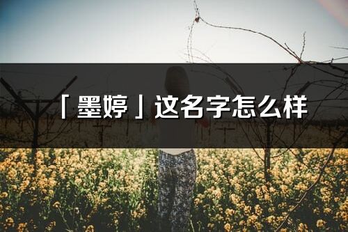 「墨婷」這名字怎么樣_墨婷的名字解釋