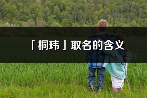 「桐瑋」取名的含義_桐瑋名字寓意解釋