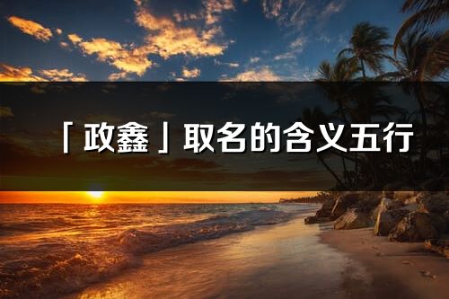 「政鑫」取名的含義五行_政鑫名字寓意解釋