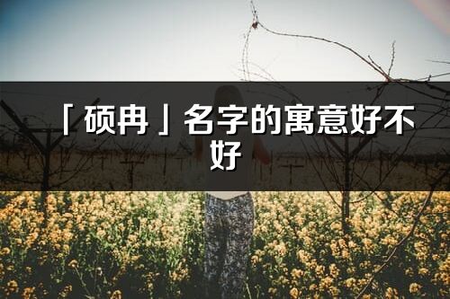 「碩冉」名字的寓意好不好_碩冉含義分析