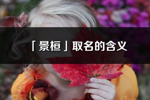 「景桓」取名的含義_景桓名字寓意