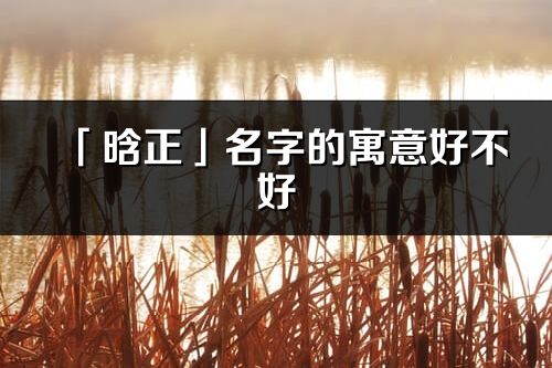 「晗正」名字的寓意好不好_晗正含義分析