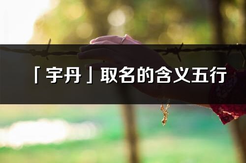 「宇丹」取名的含義五行_宇丹名字寓意解釋