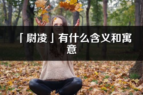 「尉凌」有什么含義和寓意_尉凌名字的出處與意思