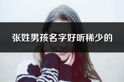 張姓男孩名字好聽稀少的