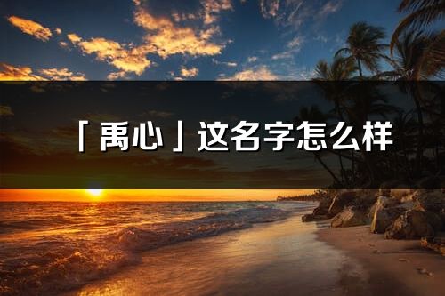 「禹心」這名字怎么樣_禹心的名字解釋