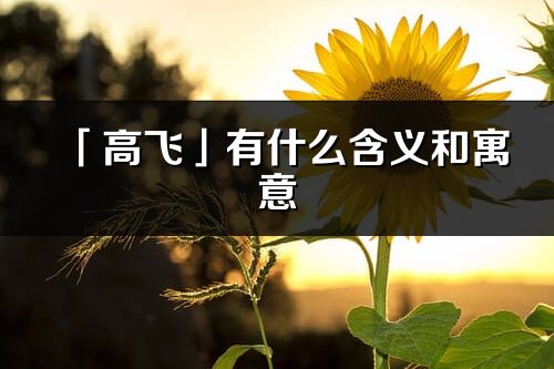 「高飛」有什么含義和寓意_高飛名字的出處與意思