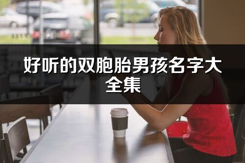 好聽的雙胞胎男孩名字大全集