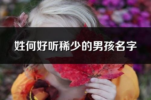 姓何好聽(tīng)稀少的男孩名字