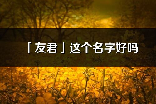 「友君」這個名字好嗎_友君名字寓意,含義