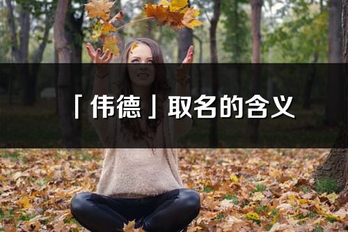 「偉德」取名的含義_偉德名字寓意解釋
