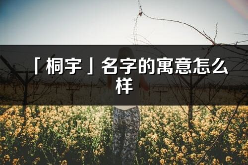「桐宇」名字的寓意怎么樣_桐宇的出處