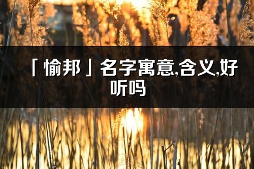 「愉邦」名字寓意,含義,好聽嗎_愉邦名字分析打分