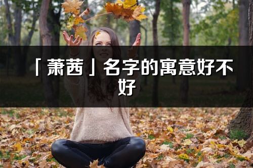 「蕭茜」名字的寓意好不好_蕭茜含義分析