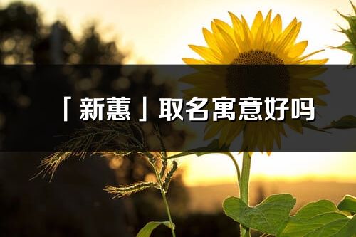「新蕙」取名寓意好嗎_新蕙名字含義及寓意