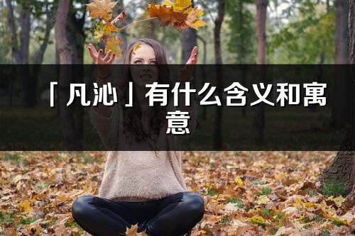 「凡沁」有什么含義和寓意_凡沁名字的出處與意思
