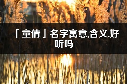 「童倩」名字寓意,含義,好聽嗎_童倩名字分析打分