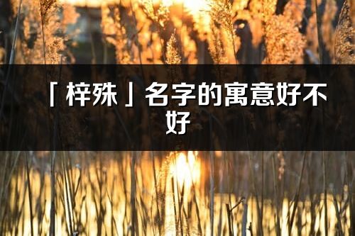 「梓殊」名字的寓意好不好_梓殊含義分析