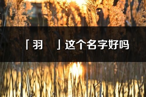 「羽玥」這個名字好嗎_羽玥名字寓意,含義