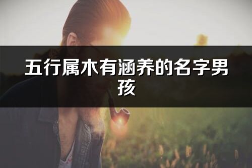 五行屬木有涵養的名字男孩