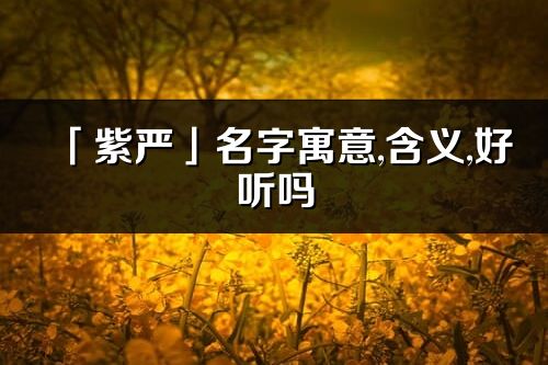 「紫嚴」名字寓意,含義,好聽嗎_紫嚴名字分析打分