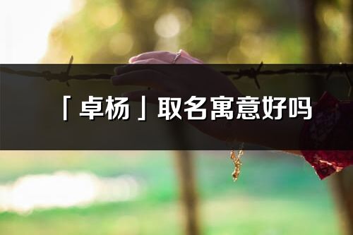 「卓楊」取名寓意好嗎_卓楊名字含義及五行
